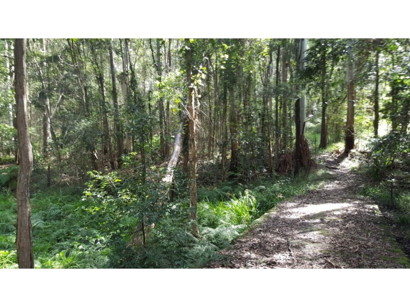 LOT 1, 100 Black Pinch Road, Pomona QLD 4568