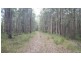 Lot 2, 100 Black Pinch Road, Pomona QLD 4568