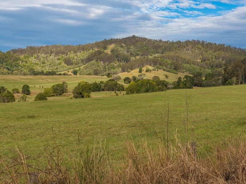 117 Christies Road, Federal QLD 4568