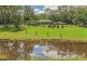 89 BLACK PINCH ROAD, Pomona QLD 4568