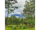 89 BLACK PINCH ROAD, Pomona QLD 4568