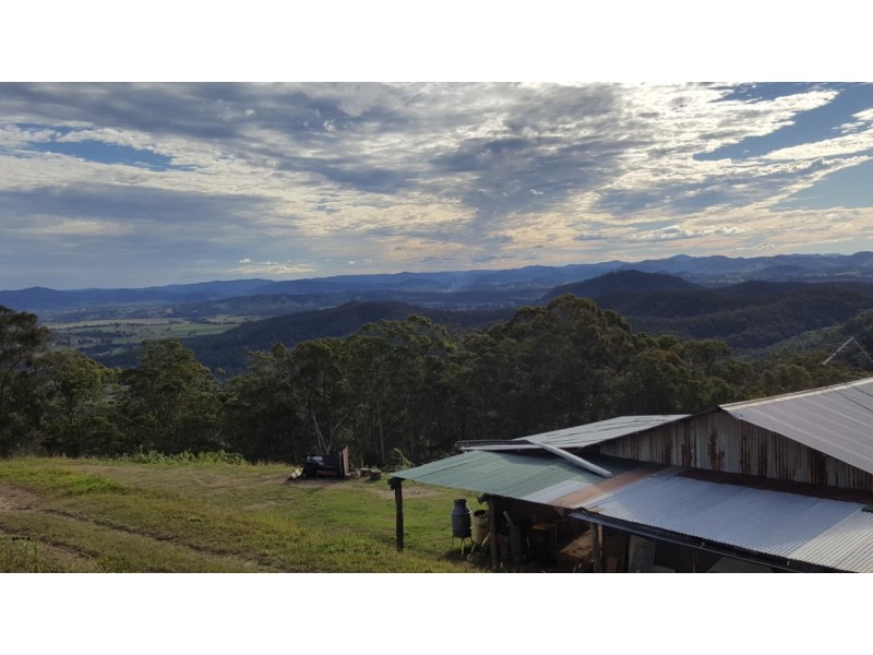 1033 Black Mountain Rd, Federal QLD 4568