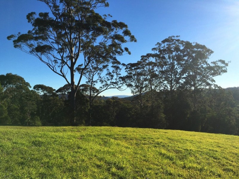 6 Drovers Court, Pomona QLD 4568