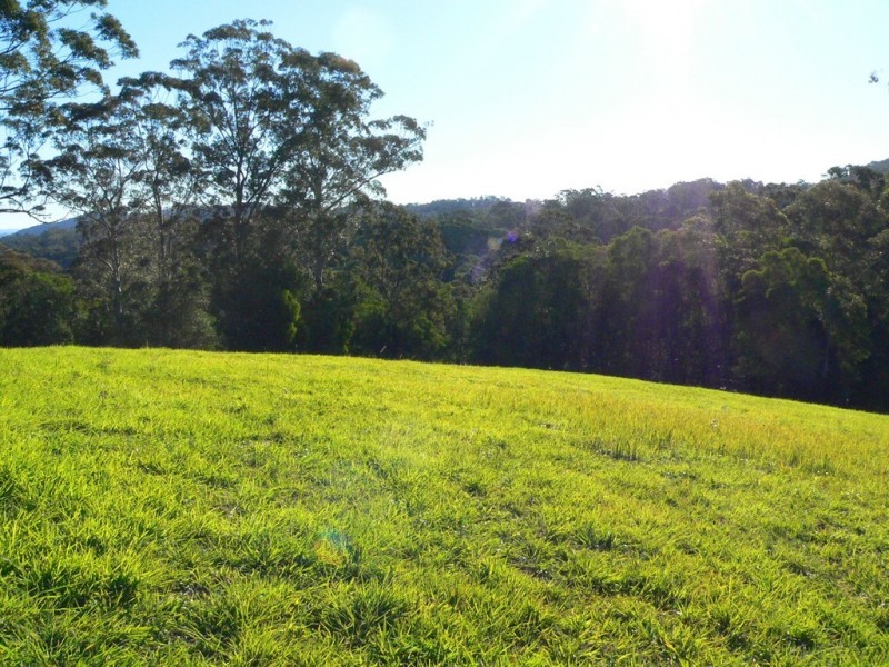 6 Drovers Court, Pomona QLD 4568