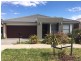 17 Black Wattle Road, Craigieburn VIC 3064