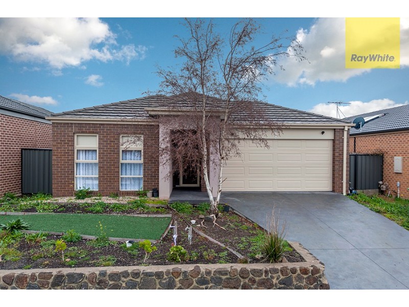 17 Pinnacle Drive, Craigieburn VIC 3064