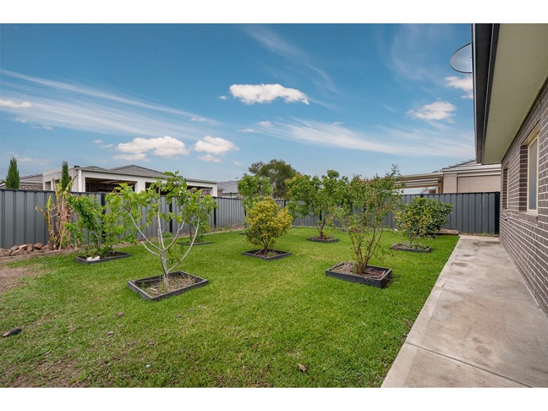 24 Fairhaven Blvd, Craigieburn VIC 3064
