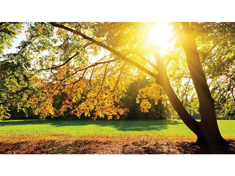 Lot 136 Edara Circuit, Greenvale VIC 3059