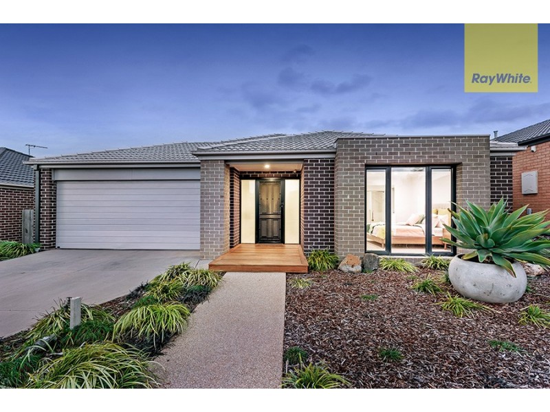 17 Leveque Loop, Craigieburn VIC 3064
