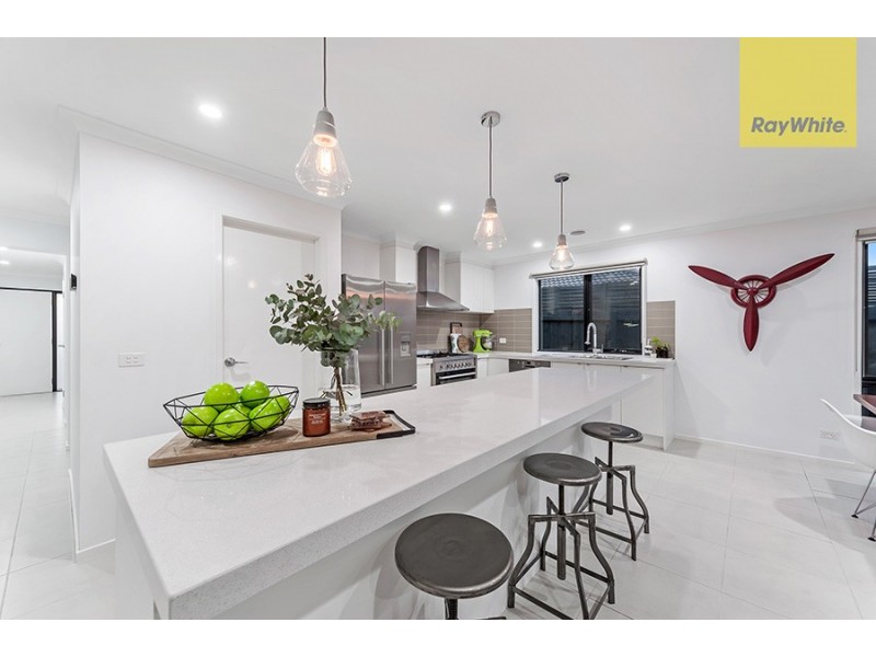 17 Leveque Loop, Craigieburn VIC 3064