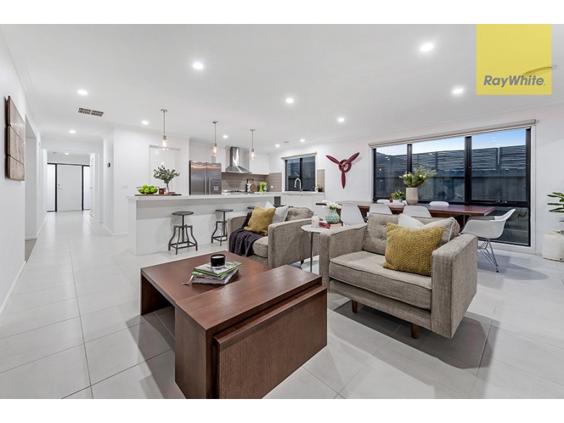 17 Leveque Loop, Craigieburn VIC 3064