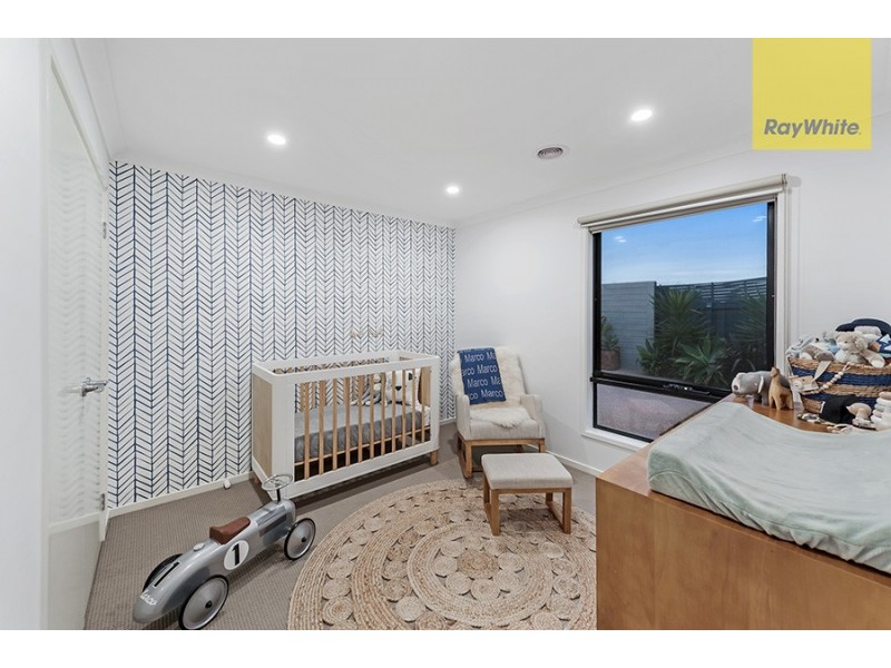 17 Leveque Loop, Craigieburn VIC 3064