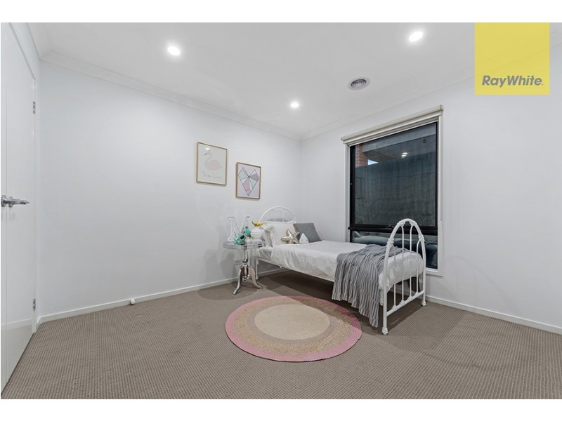 17 Leveque Loop, Craigieburn VIC 3064