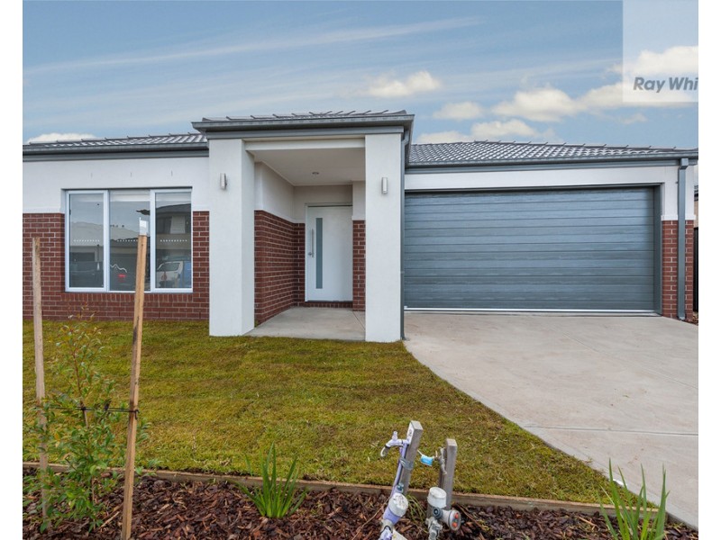 16 Whitfield Street, Craigieburn VIC 3064