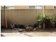 13 Burrora Way, Craigieburn VIC 3064