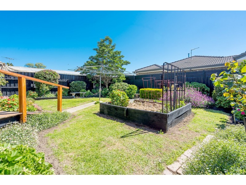 14 Medway Road, Craigieburn VIC 3064