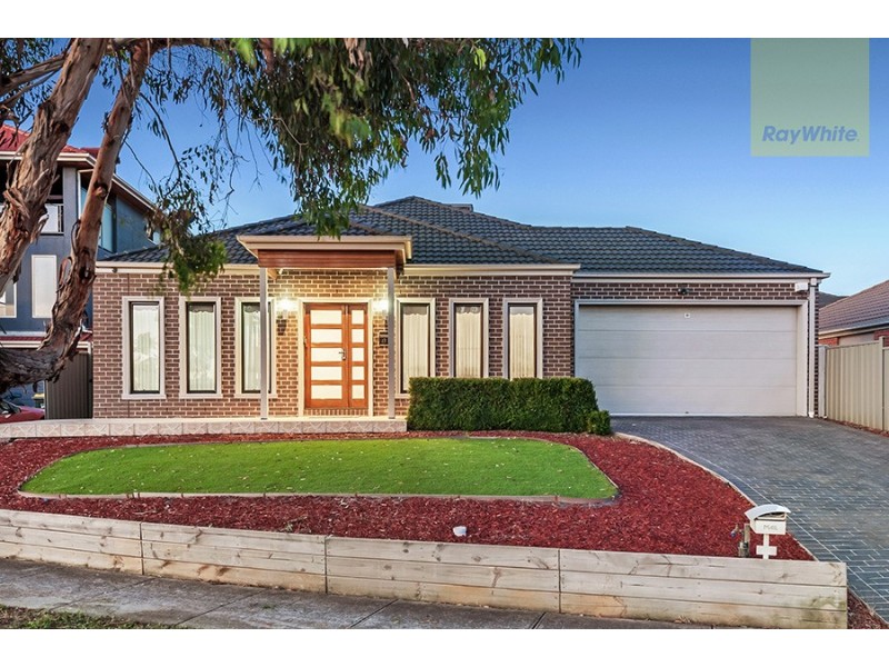 13 Elsternwick Way, Craigieburn VIC 3064