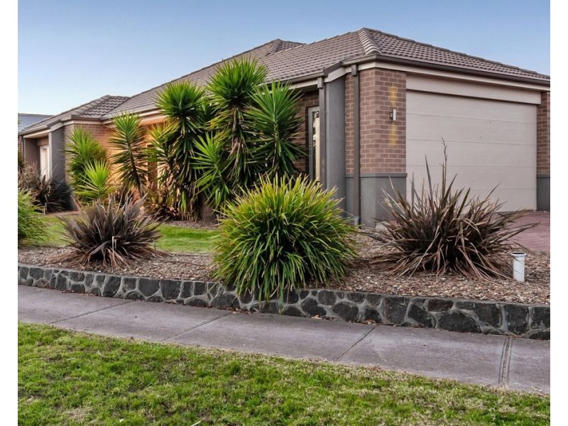 29 Highbury circuit, Craigieburn VIC 3064