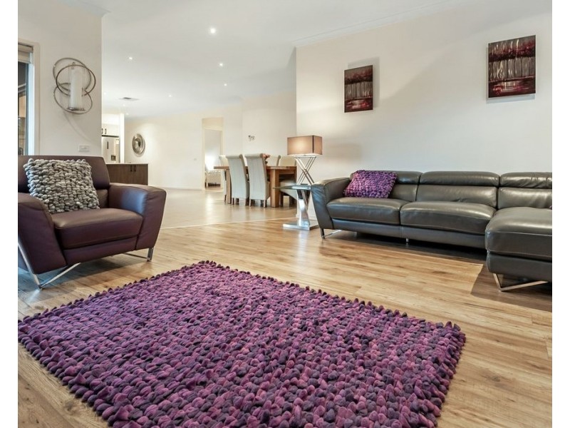 29 Highbury circuit, Craigieburn VIC 3064