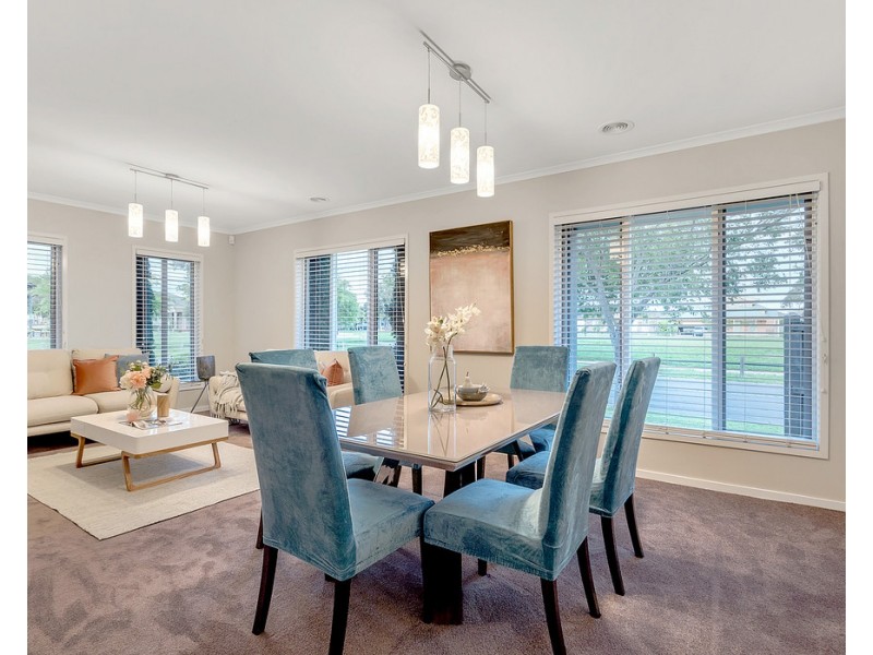 19 Bellfield Drive, Craigieburn VIC 3064