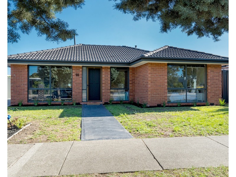 55 Dorchester Street, Craigieburn VIC 3064