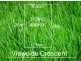 12402 Viewside Crescent, Craigieburn VIC 3064