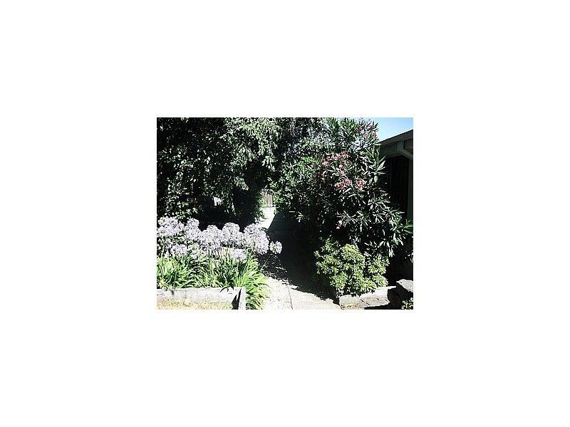 37 Nathalia Street, Broadmeadows VIC 3047