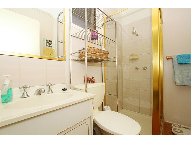 113 Dianne Avenue, Craigieburn VIC 3064