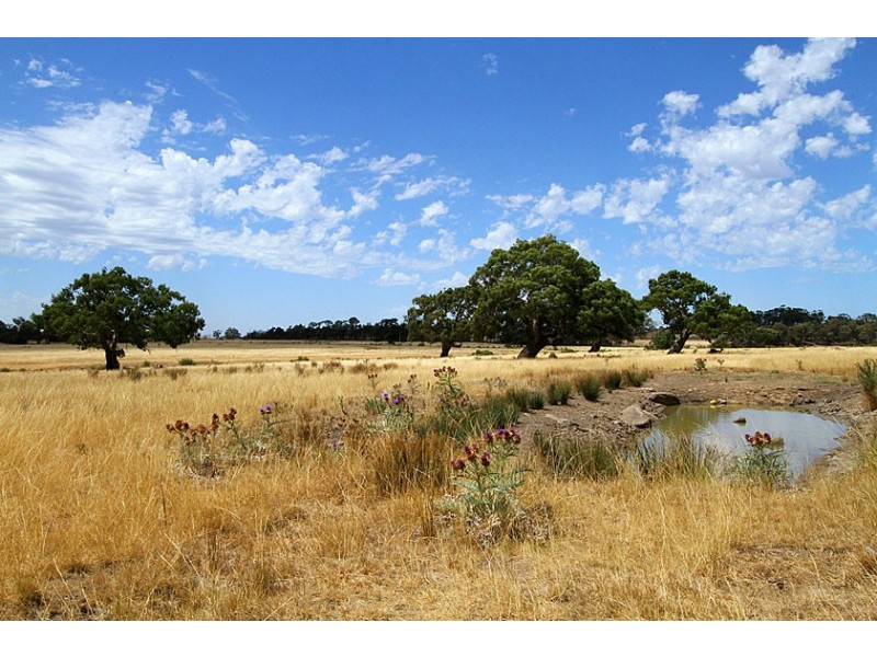 655 Summerhill Road, Craigieburn VIC 3064