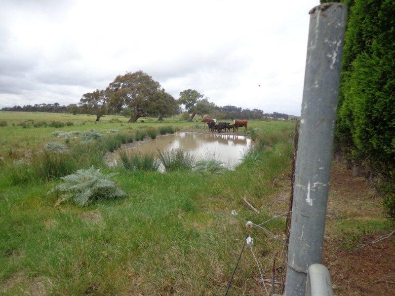 655 Summerhill Road, Craigieburn VIC 3064