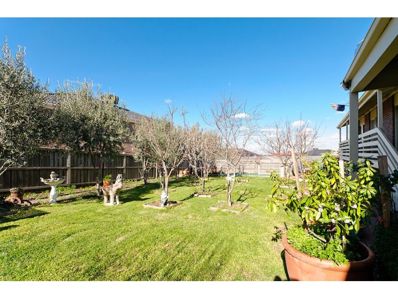 13 Consort Place, Craigieburn VIC 3064