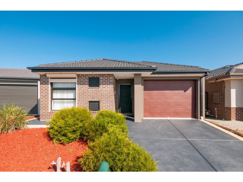 19 Falls Avenue, Craigieburn VIC 3064