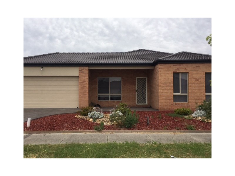 56 Mulberry Pass, Craigieburn VIC 3064