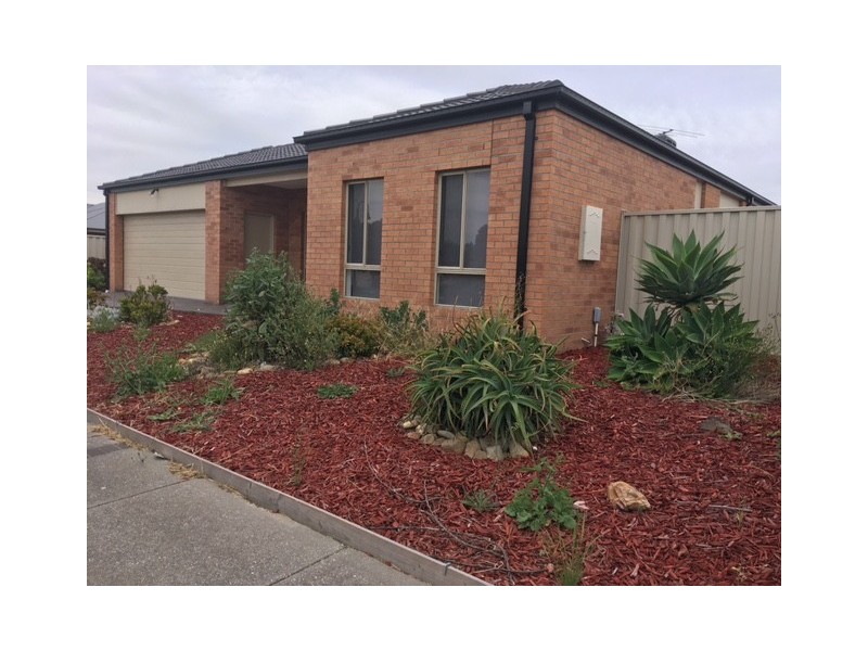 56 Mulberry Pass, Craigieburn VIC 3064