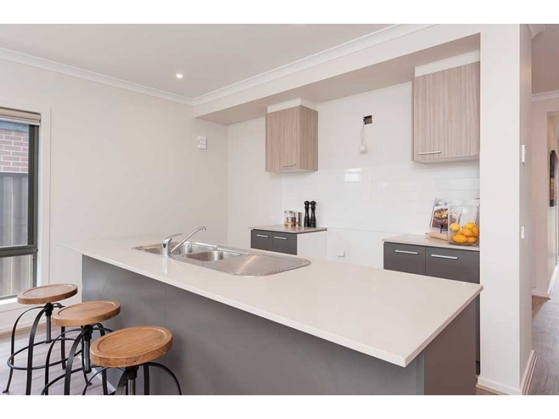 171 Wattletree Street, Craigieburn VIC 3064