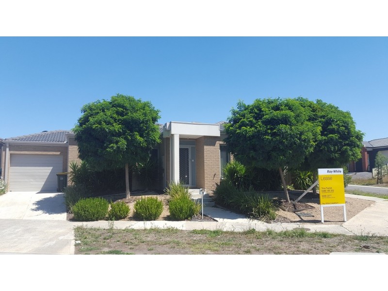 9 Leveque Loop, Craigieburn VIC 3064