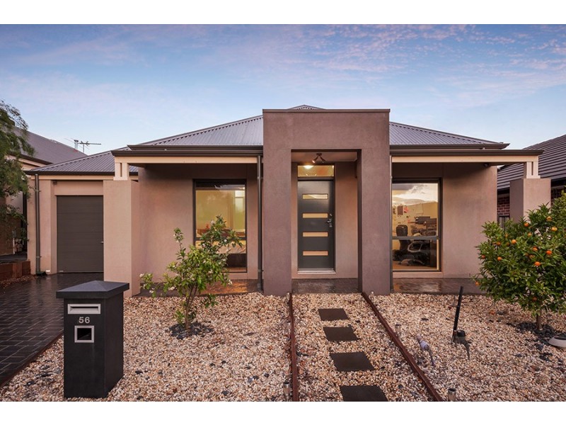 56 Ardsley Circuit, Craigieburn VIC 3064