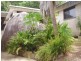 2 Opalia Crt Nelly Bay, Magnetic Island QLD 4819