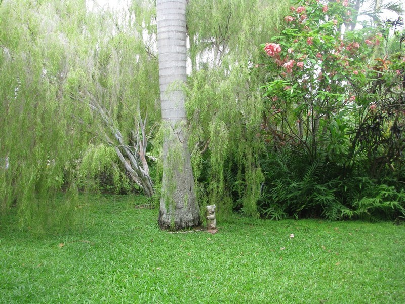 22 Granite Street, Magnetic Island QLD 4819