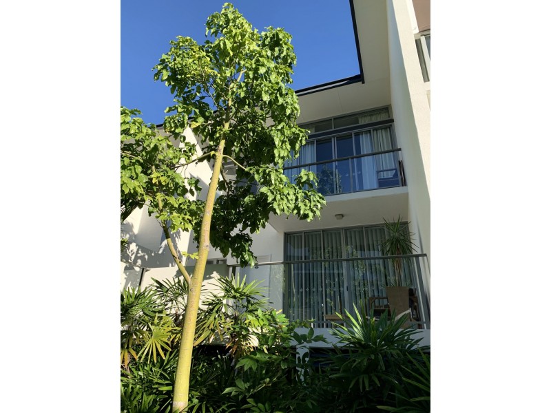 91/28 Landsborough Street, North Ward QLD 4810