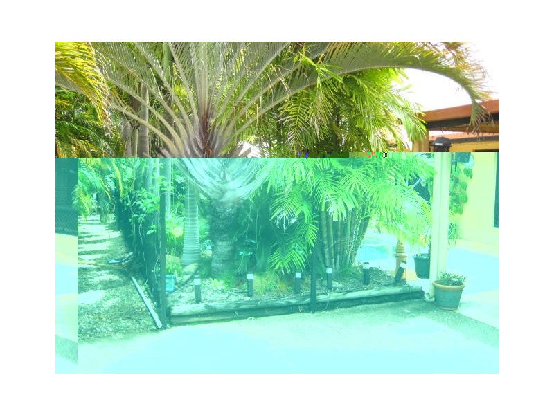 41 Martinez Avenue The Lakes, Townsville West QLD 4810