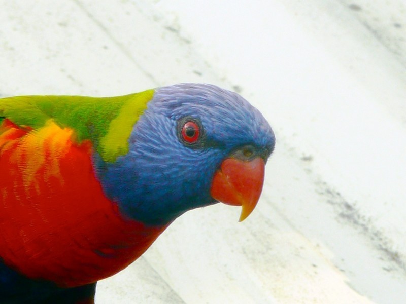 27 Barbarra Street Picnic Bay, Magnetic Island QLD 4819