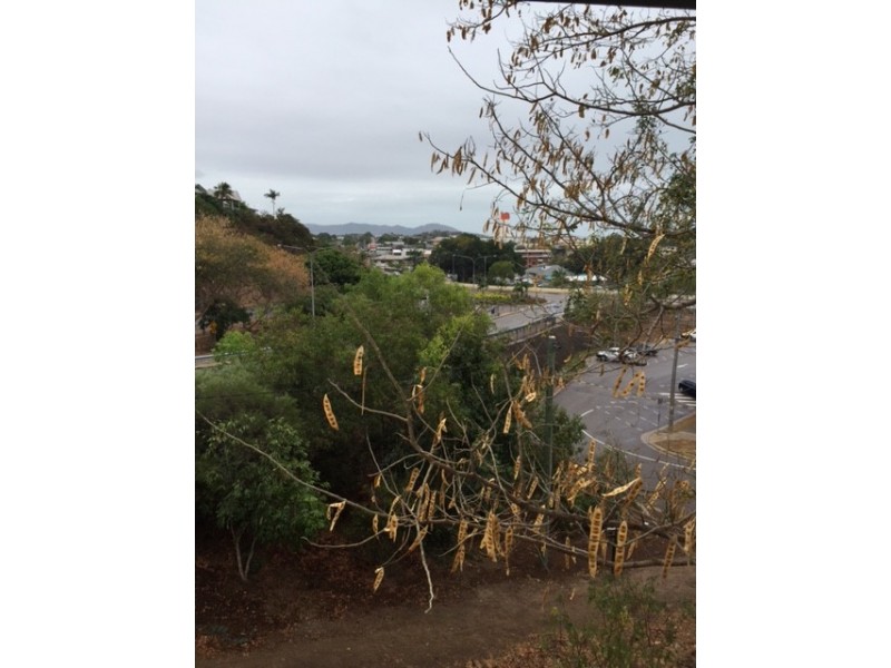 4/1 Fryer Street, North Ward QLD 4810