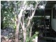 84 Picnic Street, Magnetic Island QLD 4819