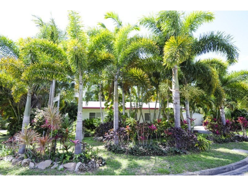 9 Rintoul Court Horseshoe Bay, Magnetic Island QLD 4819