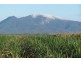 530 Shirbourne Road, Giru QLD 4809