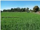 530 Shirbourne Road, Giru QLD 4809