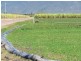530 Shirbourne Road, Giru QLD 4809