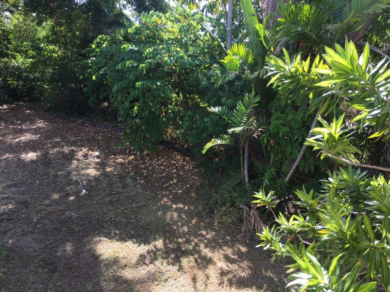 17 Burt Street, Mundingburra QLD 4812