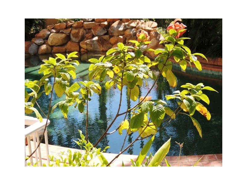 4a, 3-7 The Strand, Townsville City QLD 4810